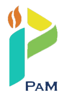 PAM Innovations Logo